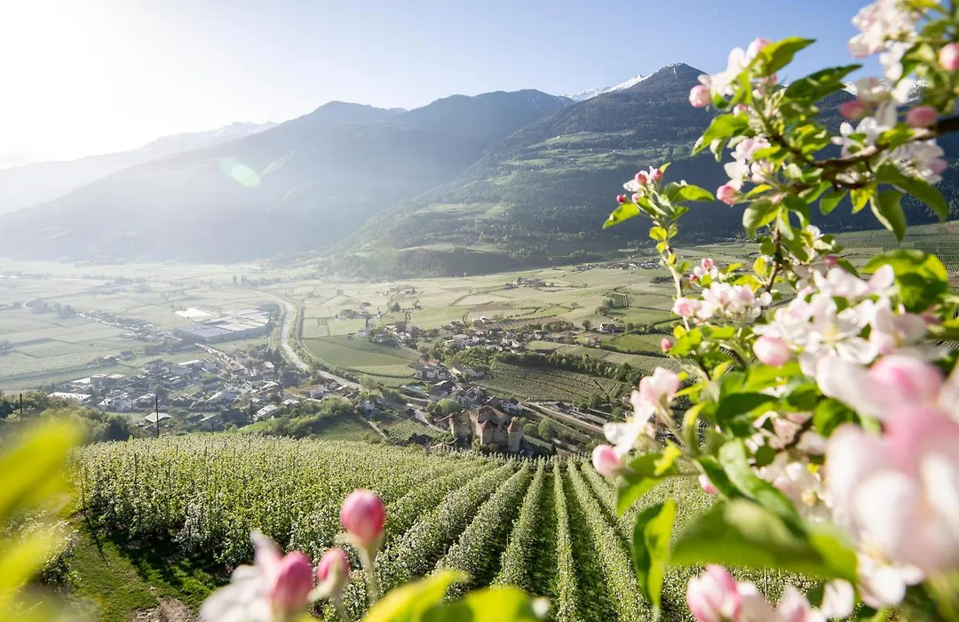 Lindenhof Pure Luxury & Spa Dolcevita Resort-1